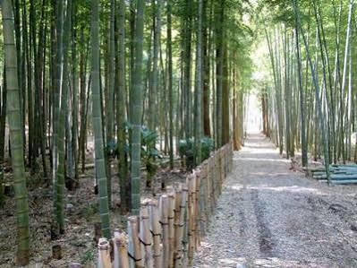 Auberge La Olive Ito  Εξωτερικό φωτογραφία